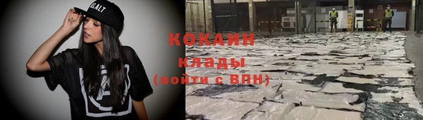 индика Аркадак
