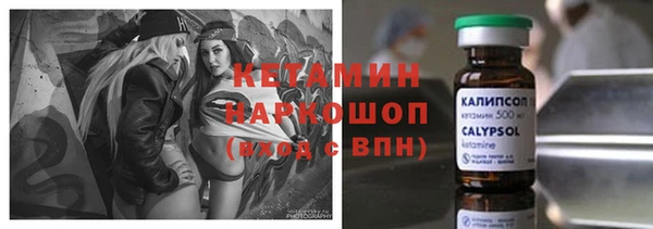 индика Аркадак