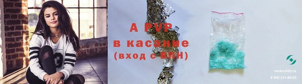 индика Аркадак