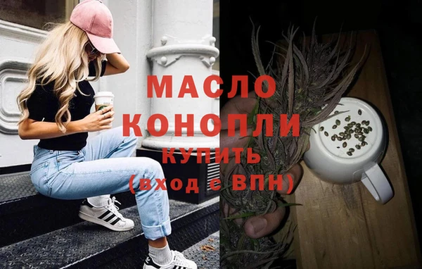 индика Аркадак