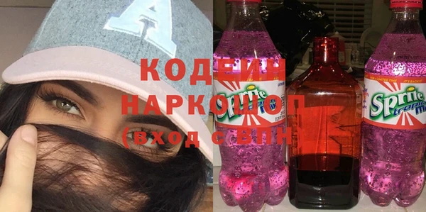 индика Аркадак
