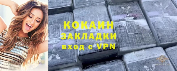 индика Аркадак