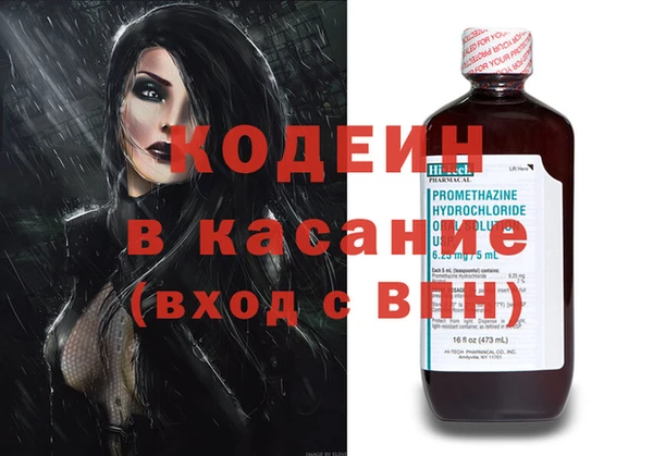 индика Аркадак